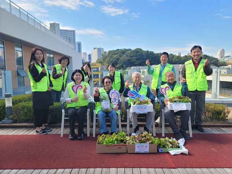 세종시자원봉사센터, 옥상 텃밭 상추 수확해 경로당 어르신들과 나눔