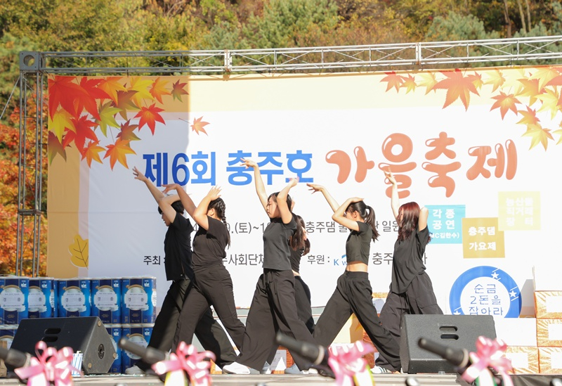 제7회 충주호 가을축제 한마당, 11월 7~9일 개최