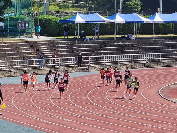 대전교육감기 육상대회 성료…1,337명 열전·신기록 8개 탄생