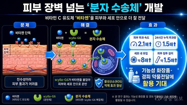 순천향대, 피부 속 비타민C 전달 효율 높이는 분자 수송체 기술 개발