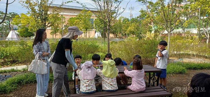 충북교육청 환경교육센터와우, 주말 ‘숲 놀이’ 운영