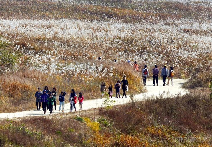 충주시, 비내섬 습지탐방지원센터 건립사업 공모 선정
